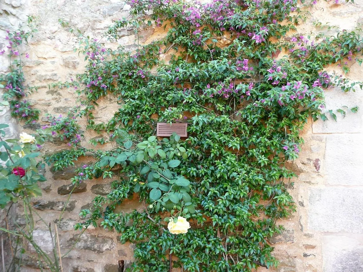 Сasa de vacaciones Monells - Casa Rural - Can Felip